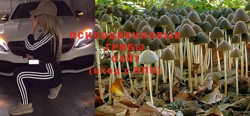 Галлюциногенные грибы MAGIC MUSHROOMS  Барабинск 